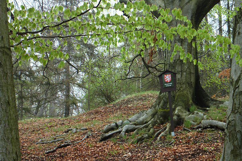 Chráněné území Přírodní park
